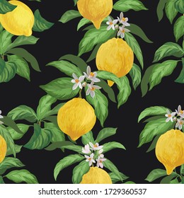 Lemon  seamless vector pattern. Tropical fruit background. Summer exotic print. Hand drawn illustration. Botanical realistic eco pattern.