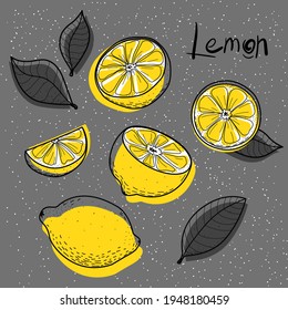 Lemon set, abstraction. A collection of isolated lemons drawn by hand. Line drawing style. Bright yellow citrus slices on a gray background. Stylish vector illustration, doodle, line. Isolated.