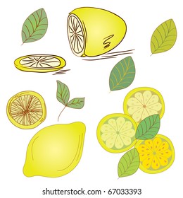 Lemon set with citrus and leaves