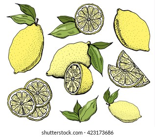 Lemon set in color on white background