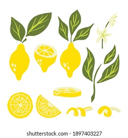 Lemon set. Exotic tropical yellow citrus fresh fruit collection, whole juicy lemons with green leaves and flowers, slice and peel. Vector cartoon minimalistic style isolated illustration