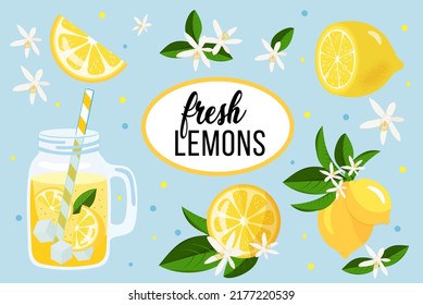 Lemon set. Fruits, lemons, lemon slices, flowers, leaves, lemonade in a jug. Blue background. Vector illustration