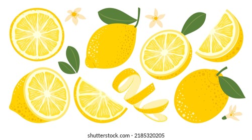 Lemon set. Fruits, slices, peel, leaves, flowers. Vector clipart.