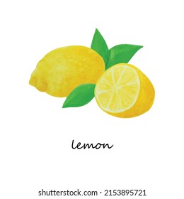Lemon set of hand drawn watercolor whole and cut fruit with leaves. Isolated citrus with text name