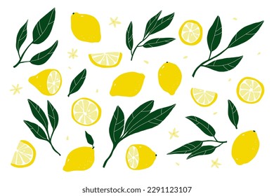 Lemon set. Hand-drawn lemons isolated on a white background. Slice, halves, whole fruit, leaves, flowers, seeds. Cartoon citrus tropical collection. Healthy food sign. Vector botanical illustration