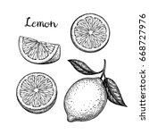 Lemon set. Isolated on white background. Hand drawn vector illustration. Retro style.