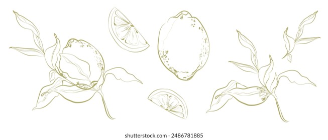 Lemon set. Lemon and leafs. Hand drawn trendy background. Design elements for greeting cards, invitations, fabric and textile. Summer mood. Vector