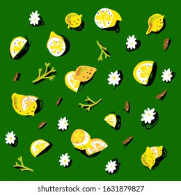 Lemon set with leaves and flowers and shadow on green background. Vector hand drawn illustration