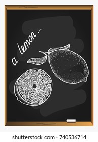 Lemon set on blackboard background. Hand drawn vector illustration.