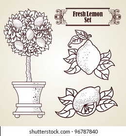 Lemon set in retro style
