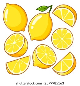 Lemon set, shown in slices from different angles, are ideal for educational materials and presentations.