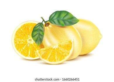 Lemon set with lemon slice in the middle isolated on white background. Realistic vector in 3D illustration.