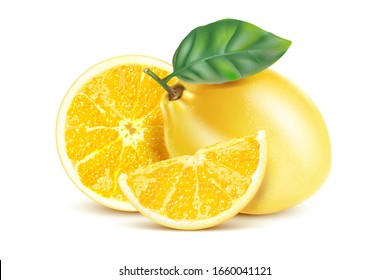 Lemon set with lemon slice of pieces in the middle isolated on white background. Realistic vector in 3D illustration.