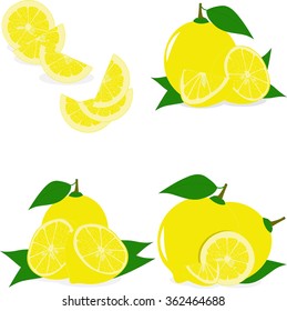 Lemon. Set of lemon slices, collection of vector illustrations on a transparent background