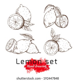 Lemon Set, Vector Hand Drawing