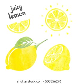 Lemon Set. Vector Watercolor Collection Of Fresh Lemon Fruits.