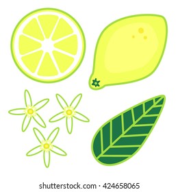 Lemon set. Vitamin c. Fruit, leaves and flowers. Vector illustration isolated on white background.