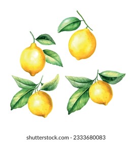 Lemon set watercolor, great design for any purposes.