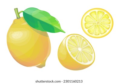 Lemon set. Whole, half, cut slice lemon. Lemons on a white background.