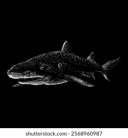 lemon shark hand drawing vector isolated on black background.