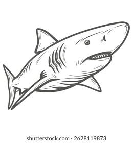 Lemon Shark Line Art Illustration, Negaprion brevirostris