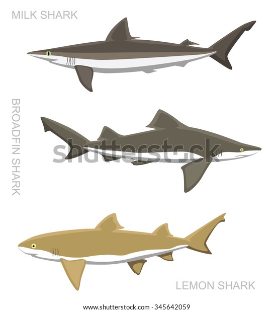 Lemon Shark Set\
Cartoon Vector\
Illustration