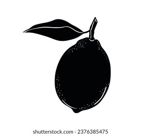 Lemon silhouette. Silhouette of lime, orange, lemon in black and white colors. Hand Drawn lemon isolated on white background. vector illustration. Black silhouette Lemon.