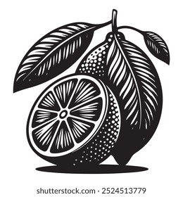 Lemon silhouette. Silhouette of lime, orange, lemon in black and white colors. Hand Drawn lemon isolated on white background. vector illustration. Lemon fruit vector icon collection. 