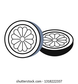 lemon simlple art geometric illustration. Icon, graphic symbol, part of image design , kitchen related items
