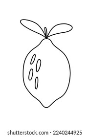 Lemon sketch. Flat style. Vector illustration 