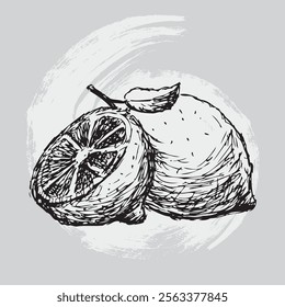 lemon sketch hand drawn vector illustration