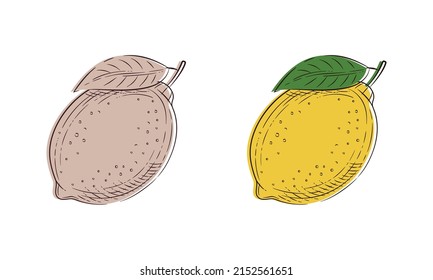 Lemon Sketch Isolated On White Background. Lemon Vintage Doodle Icon. Vector Illustration