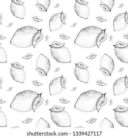 Lemon sketch pattern. Hand painted lemon, seamless pattern on a transparent background. Black seamless vector pattern without background
