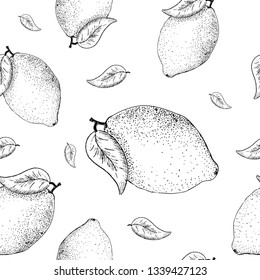 Lemon sketch pattern. Hand painted lemon, seamless pattern on a transparent background. Black seamless vector pattern without background