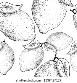 Lemon sketch pattern. Hand painted lemon, seamless pattern on a transparent background. Black seamless vector pattern without background