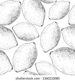 Lemon sketch pattern. Hand painted lemons, seamless pattern on a transparent background. Black doodle vector pattern without background
