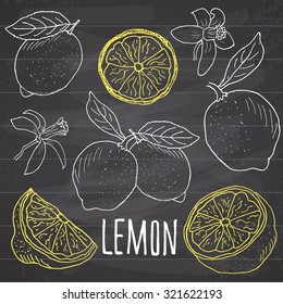 Lemon sketch set. Hand drawn doodles lemon fruits with leaves. Vector illustration on chalkboard