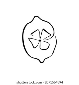 Lemon sketch vector illustration on a transparent background