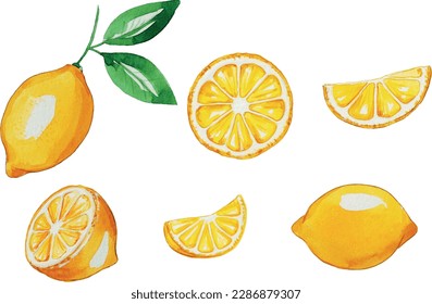 Lemon and slice of lemon