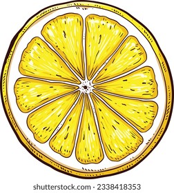 a lemon slice cartoon illustration
