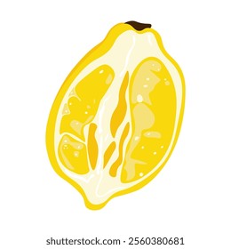 Lemon slice. Cartoon yellow citrus fruit with pulp and peel, cut ripe organic sour healthy food, natural summer vegetarian ingredient. Vector isolated illustration.