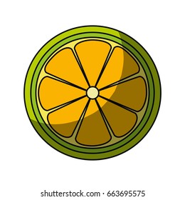 lemon slice citrus