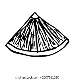 Lemon slice clip art, vector illustration, hand drawing sketch