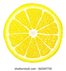 Lemon slice close up. Section of lemon fruit isolated on white background. Vector illustratio