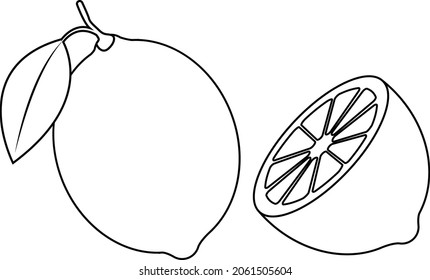 Lemon and slice coloring page vector art and illustration