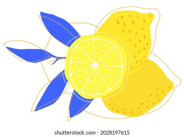 Lemon and slice doodle hand drawn. Summer yellow fruit. Vector illustration 