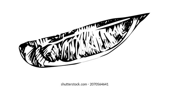 Lemon slice in doodle style hand drawn vector Lemon wedge sketch. Icon for website, mobile and infographics.
