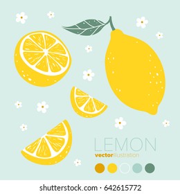 Lemon, lemon slice with flowers and leaves. Vector illustration