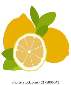 lemon slice fresh citrus half sliced lemon for poster banner logo design isolated cartoon vector icon