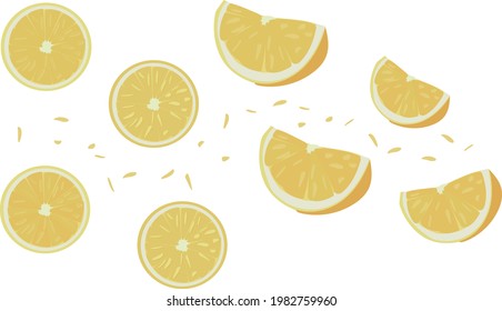 Lemon slice (Fresh fruits sets)